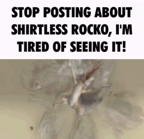 Shirtless Rocko Rockos Modern Life GIF - Shirtless Rocko Rockos Modern Life Rocko GIFs