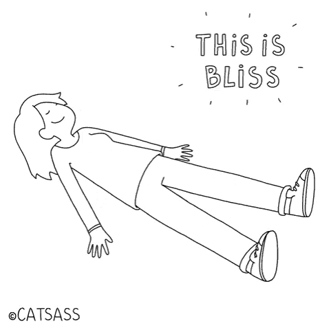 a black and white drawing of a bunch of cats with the words this is bliss below them