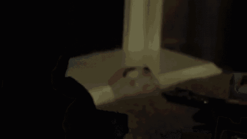 a hamster is laying on the floor in a dark room .