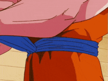 a close up of a person 's waist with a blue belt around it