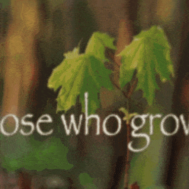 a blurry picture with the words those who grow