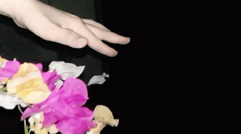 Tranhan122 Hand Gesture GIF - Tranhan122 Hand Gesture Flower GIFs