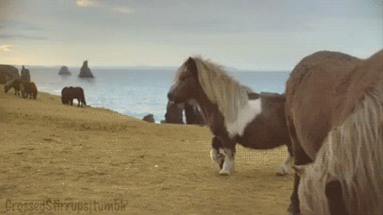Haters Gonna Hate GIF - Pony Haters Like A Boss GIFs