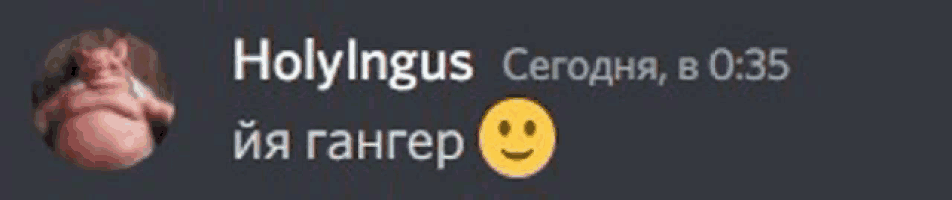 a picture of a smiley face with the words holylingus written above it