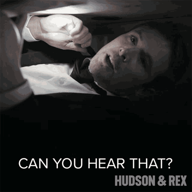 a black and white photo of a man with the words can you hear that hudson & rex on the bottom