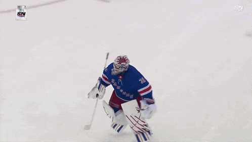 a group of hockey players celebrate a goal in front of a sign that says sn