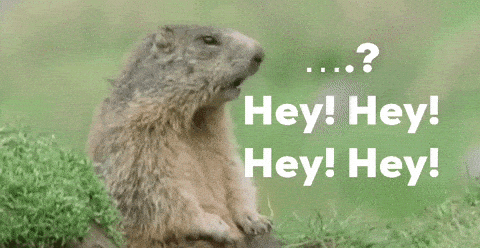 Hey Rat GIF - Hey Rat Marmot Allan GIFs