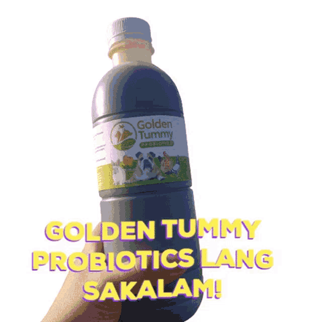 a bottle of golden tummy probiotics is being held by a hand