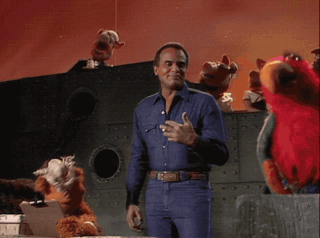 a man in a blue shirt stands in front of a bunch of stuffed animals on a stage