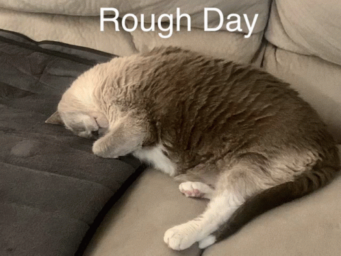 Rough Day GIF - Rough Day GIFs