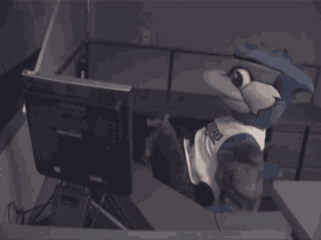 a blue jays mascot laying on a desk in front of a monitor