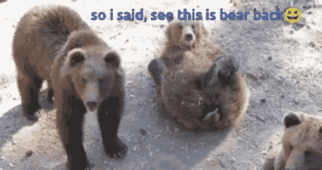 three bears are standing in the dirt with the words so i said see this is bear back above them
