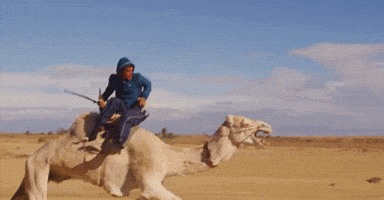 a man in a blue hoodie sits on a camel
