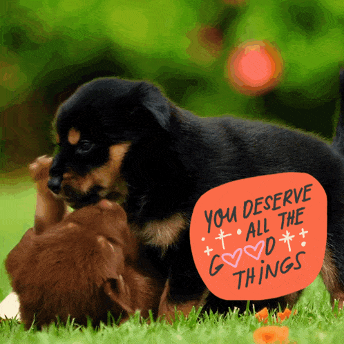 two puppies are playing in the grass with a sign that says you deserve all the good things