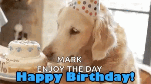 Happy Birthday Dog GIF - Happy Birthday Dog Lick GIFs