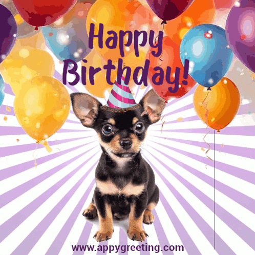 Birthday Dog Happy Birthday GIF - Birthday Dog Happy Birthday Cute Happy Birthday GIFs