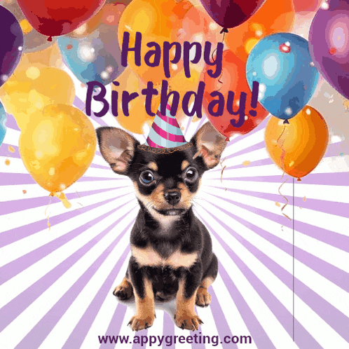 a chihuahua wearing a party hat with the words happy birthday on it