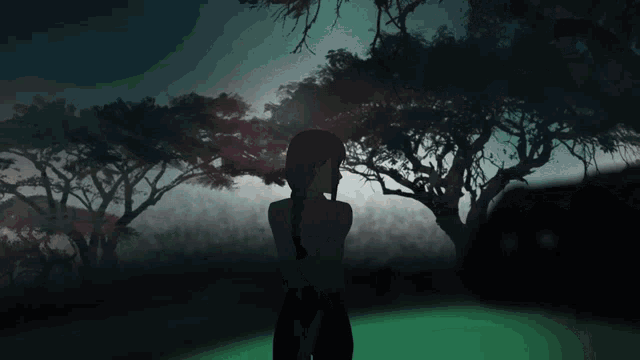 a silhouette of a woman standing in a dark forest
