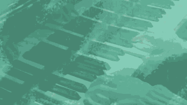 a green background with the words and we 'll wish written on it