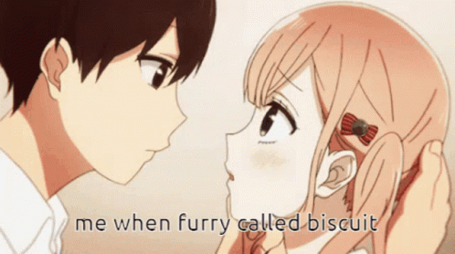 Kiss Furry GIF - Kiss Furry Biscuit GIFs