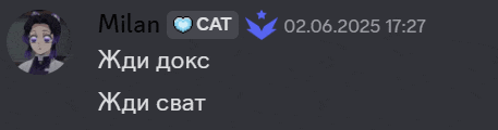 a screenshot of a conversation with milan and cat