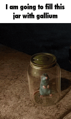 a picture of a rat in a jar with the caption " i am going to fill this jar with gallium "