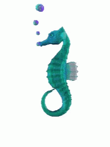 Seahorse Pixels GIF - Seahorse Pixels GIFs