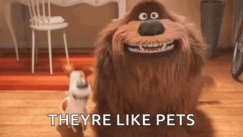 duke and max from the secret life of pets are standing next to each other on the floor .