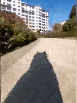a person is walking down a sidewalk in a park with a building in the background .