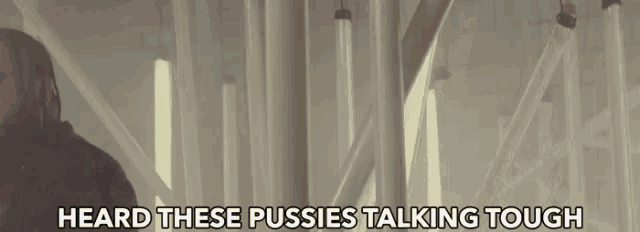 a man is standing in a room with the words heard these pussies talking tough