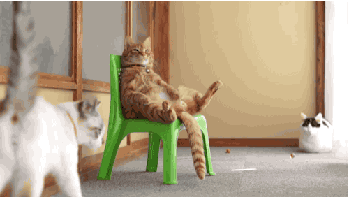 Just Wants To Be Left Alone GIF - Cats Lazy Sitting GIFs