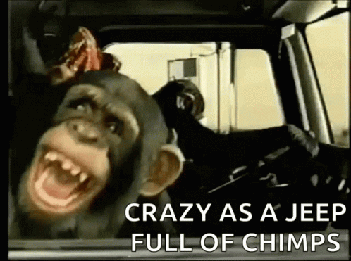 Monkey Laughing GIF - Monkey Laughing Lol GIFs