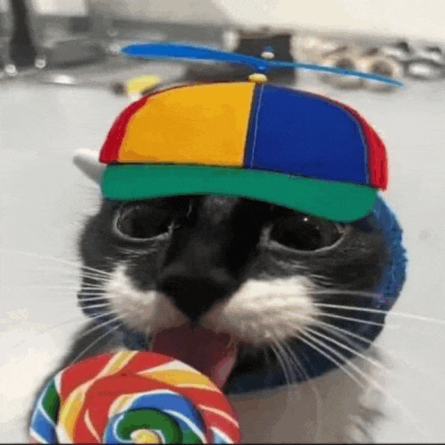 a cat wearing a hat and eating a lollipop .