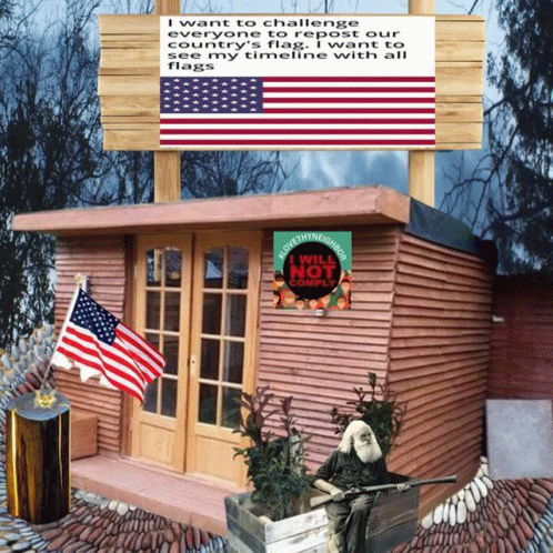 America Flag Old Cabin GIF