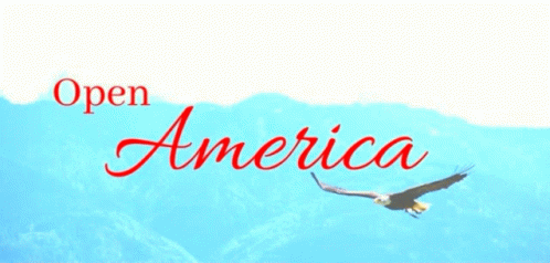 America Open America GIF - America Open America GIFs