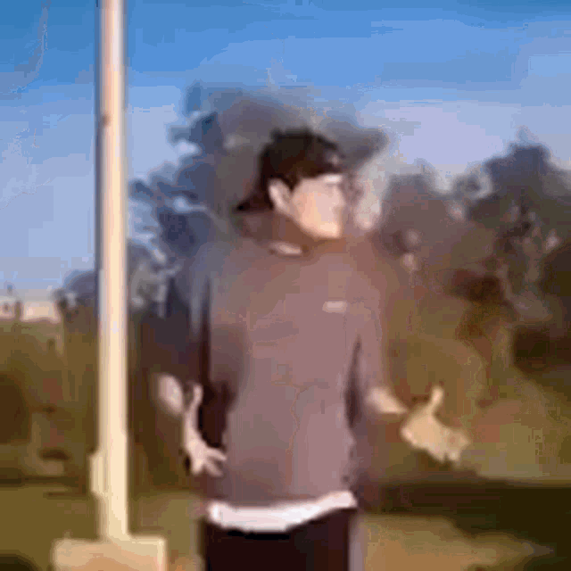 a man is standing in front of a flag pole in a park .