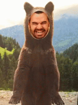 Ours Bear GIF - Ours Bear Peur GIFs
