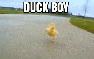Duckboy Duckboi GIF - Duckboy Duckboi Fuckboi GIFs