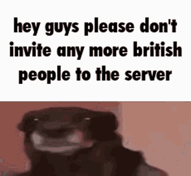 hey guys please don t invite any more british people to the server