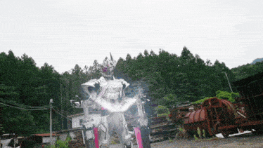 a person in a knight costume is standing in a yard