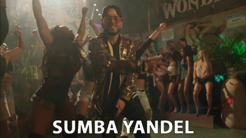 Sumba Yandel Fiesta GIF - Sumba Yandel Fiesta Rumba GIFs