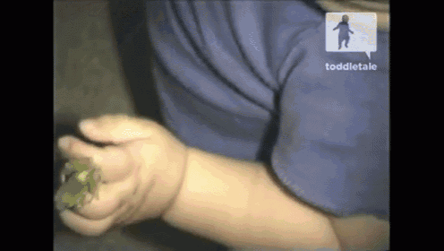 a toddler is holding a frog with a speech bubble that reads toddletale