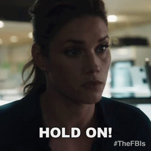 Hold On Special Agent Maggie Bell GIF - Hold On Special Agent Maggie Bell Missy Peregrym GIFs