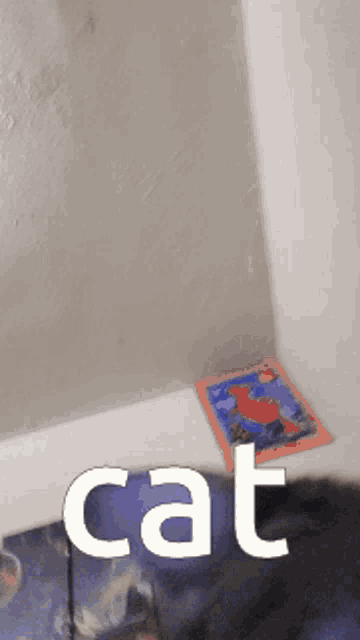 a picture of a cat sitting on a bed next to a book