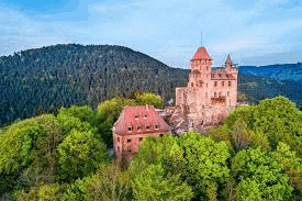an aerial view of a castle on a hill surrounded by trees .