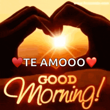 a couple of hands making a heart shape with the sun behind them and the words `` te amooo good morning ! ''