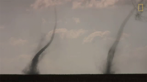 Double Tornadoes World Meteorological Day GIF - Double Tornadoes World Meteorological Day Two Tornadoes GIFs