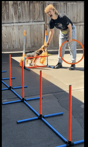 a woman holds a hula hoop over a dog