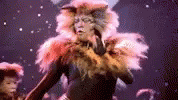 Cats Musical GIF