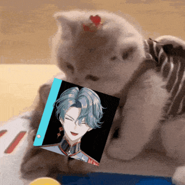 a kitten is holding a picture of a boy with blue hair